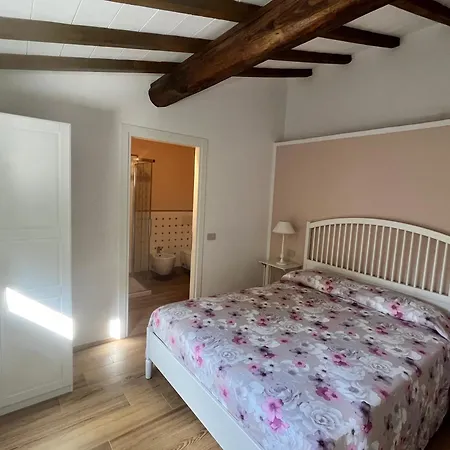 Vanna - The Ancient Just In The Center فيلة فورتي دي مارمي