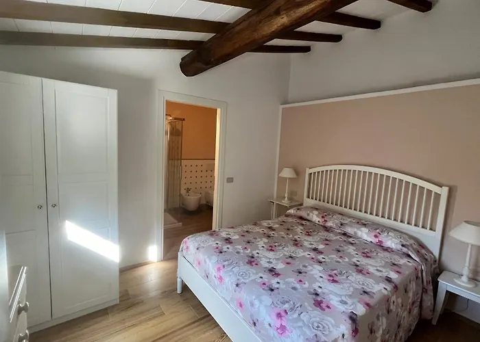 Vanna - The Ancient Just In The Center فيلة فورتي دي مارمي